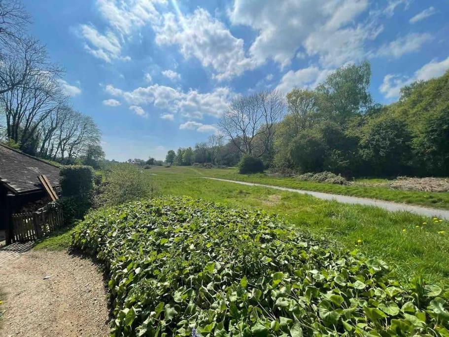 Muntjac Lodge, A In Heart Of Chorleywood